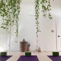 Greene Moments Studio ico