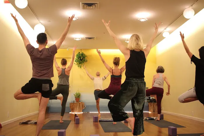 Dou Yoga Picture 6
