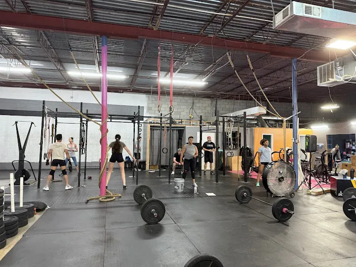 CrossFit JoyRide Picture 8