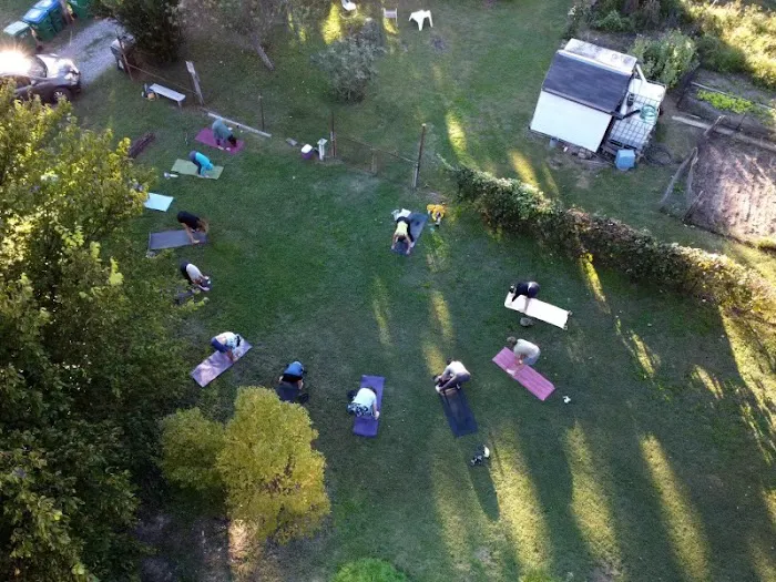 Garden Yoga Picture 6