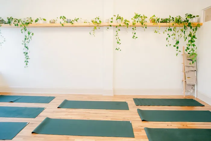 Niche Pilates Studio Picture 4