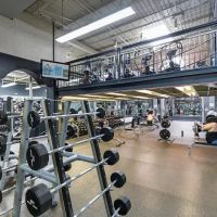 Gold's Gym ico