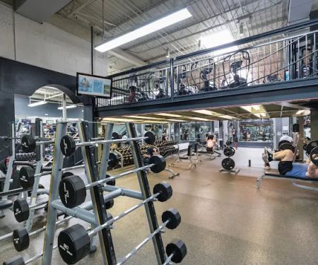 Gold's Gym