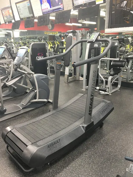 Gold's Gym Picture 4