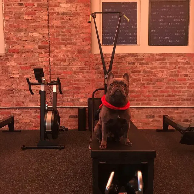 Square Code Fitness Picture 4