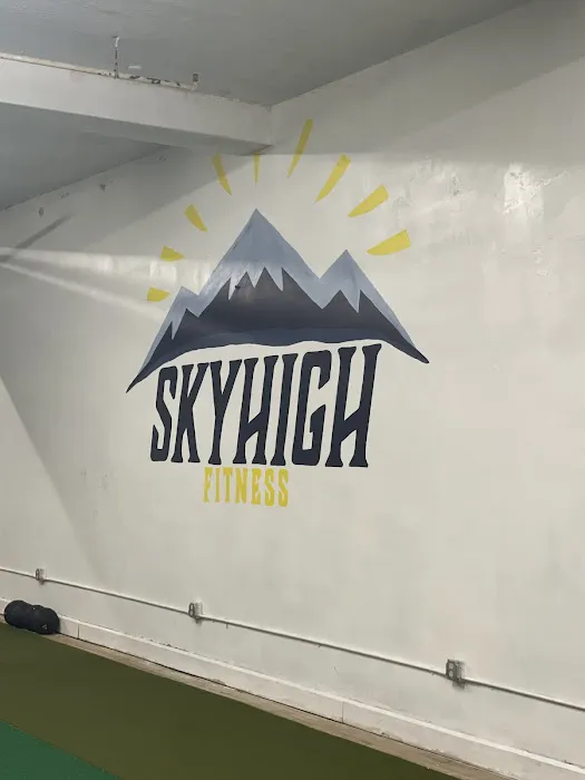 Skyhigh Fitness Training Center Picture 3