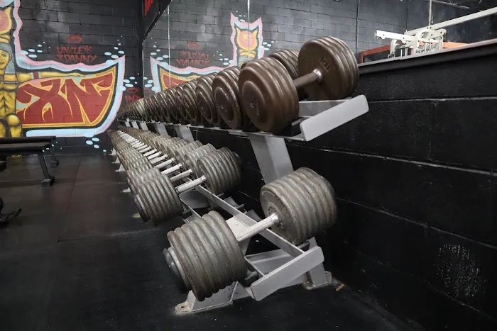 Rustbelt Barbell & Fitness Picture 6