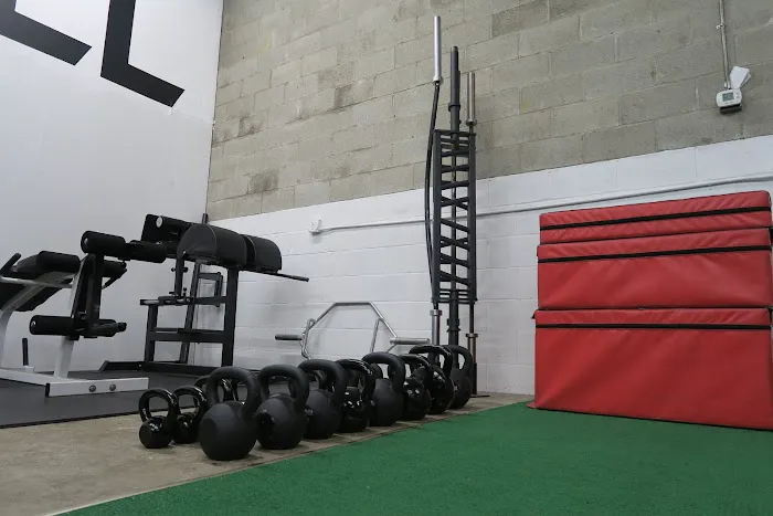 Hybrid Barbell Picture 10
