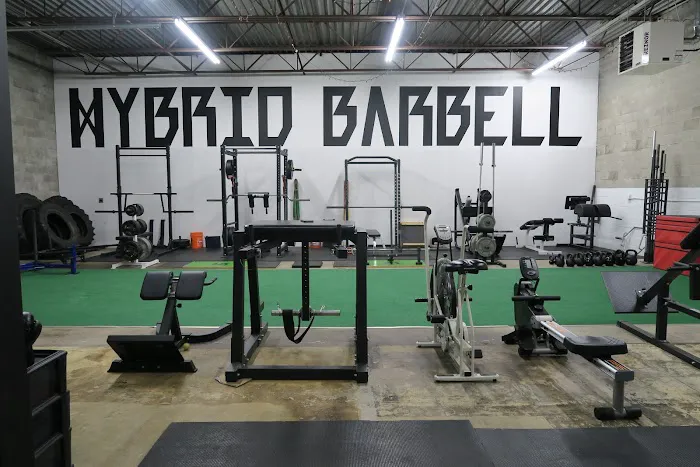 Hybrid Barbell Picture 6