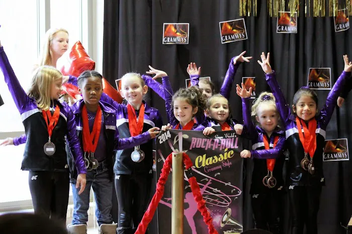 Olympic Dreams Gymnastics Picture 1