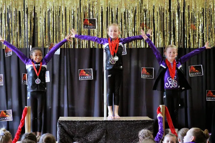 Olympic Dreams Gymnastics Picture 2
