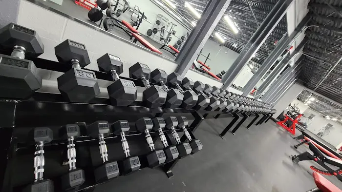 Vitruvian Gym Picture 9