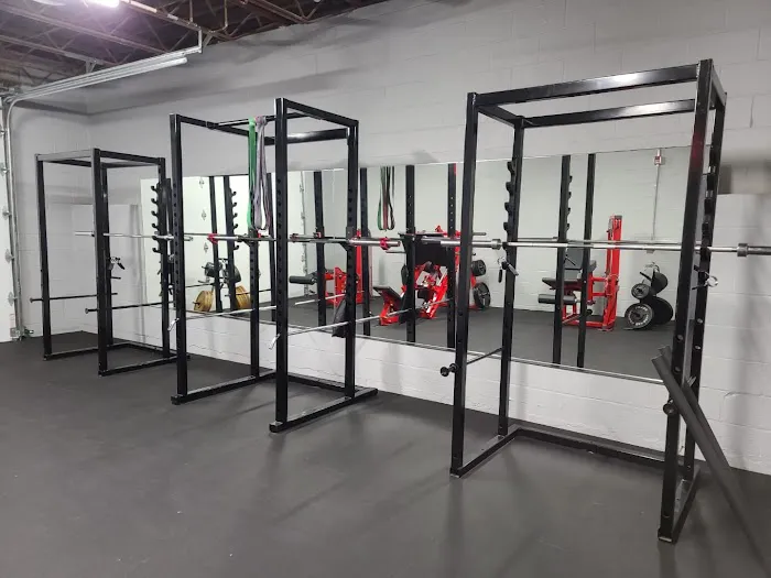Vitruvian Gym Picture 10
