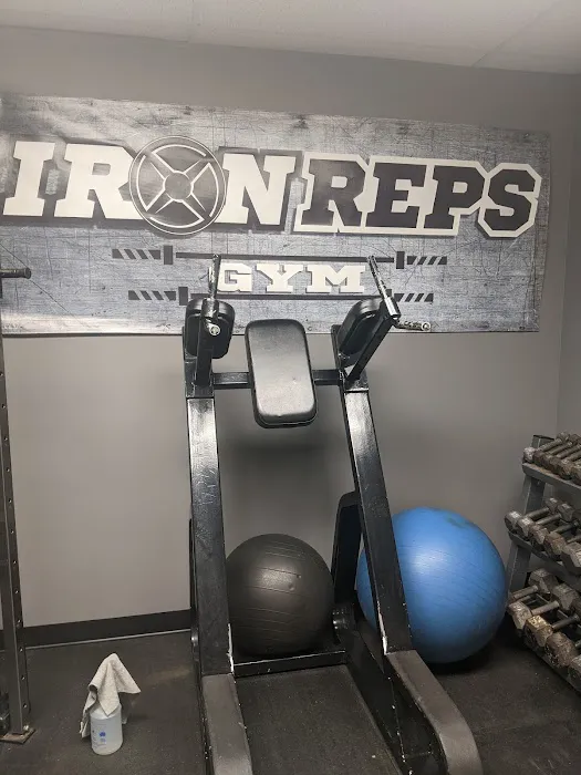 Iron Reps Gym Picture 3