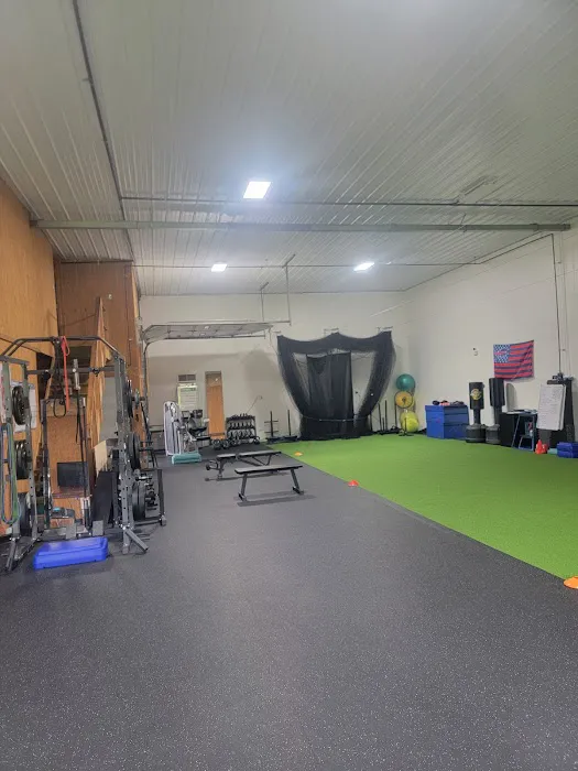Rise and Grind Fitness, LLC Cage and Turf Rental Picture 10