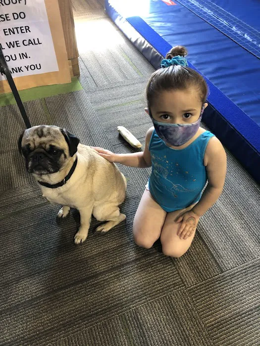 Gymnastics Unlimited Picture 8