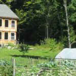 Bethel Farm