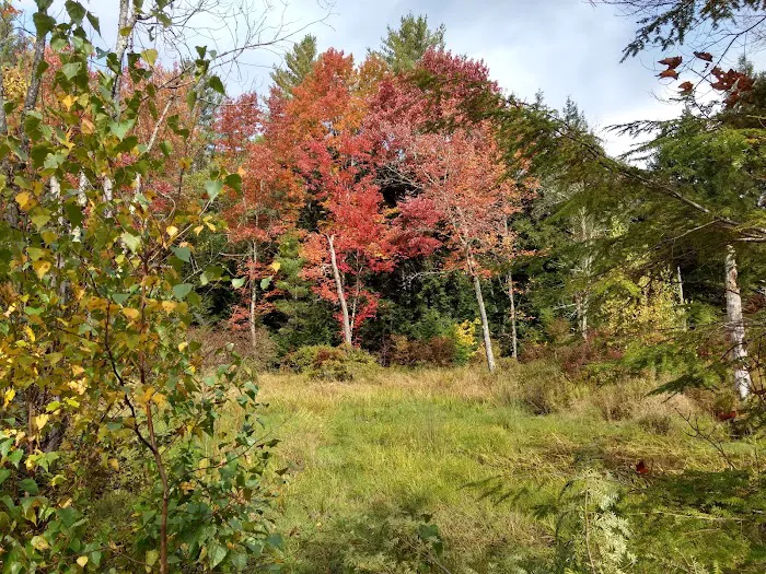 Concord lake Sunapee rail trail Picture 2