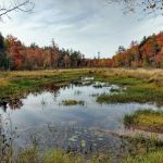 Concord lake Sunapee rail trail