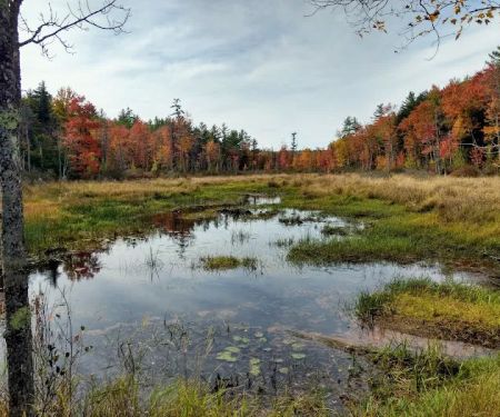 Concord lake Sunapee rail trail