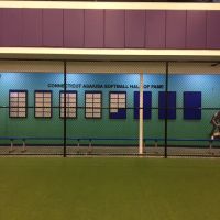 Erin's Gym ico