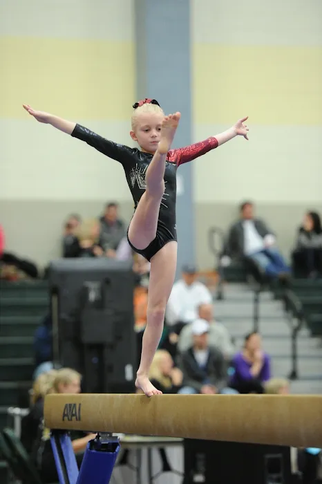 Suffield Gymnastics Academy Picture 8