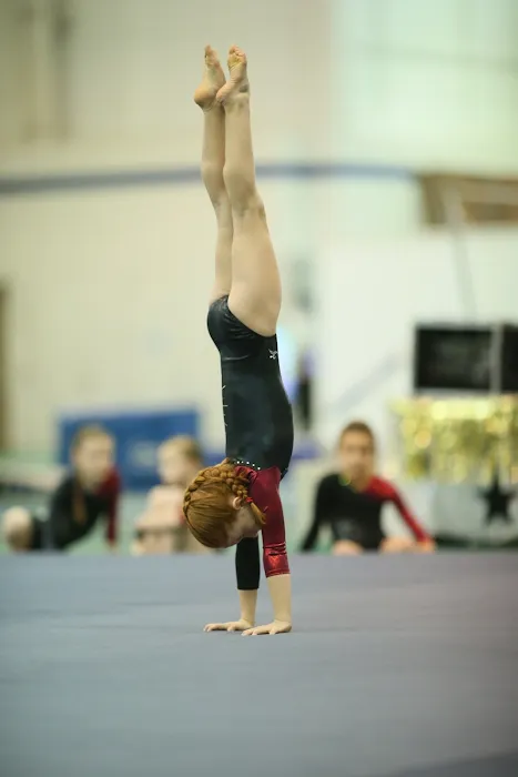 Suffield Gymnastics Academy Picture 4