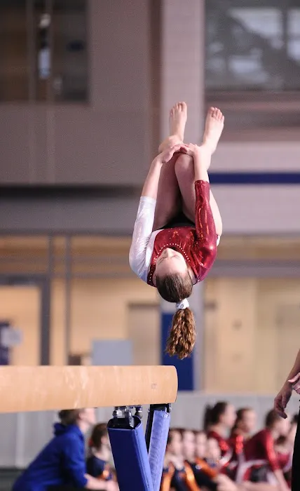 Suffield Gymnastics Academy Picture 1