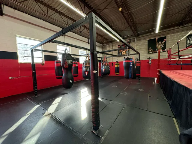 Four Ropes Boxing Picture 3