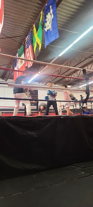 Four Ropes Boxing Picture 8