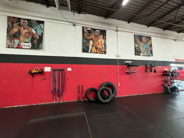 Four Ropes Boxing Picture 9