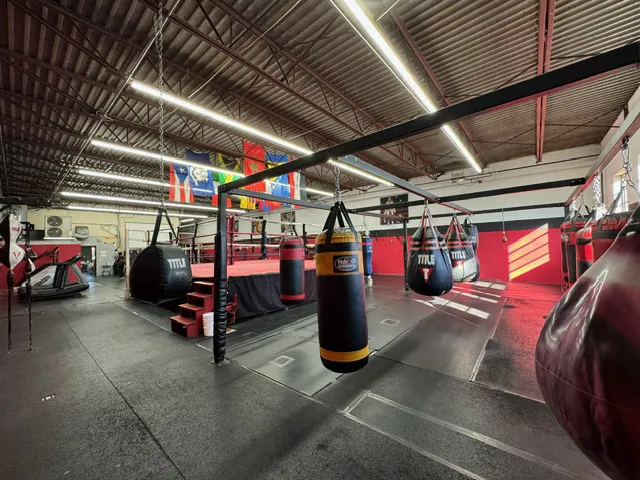 Four Ropes Boxing Picture 2