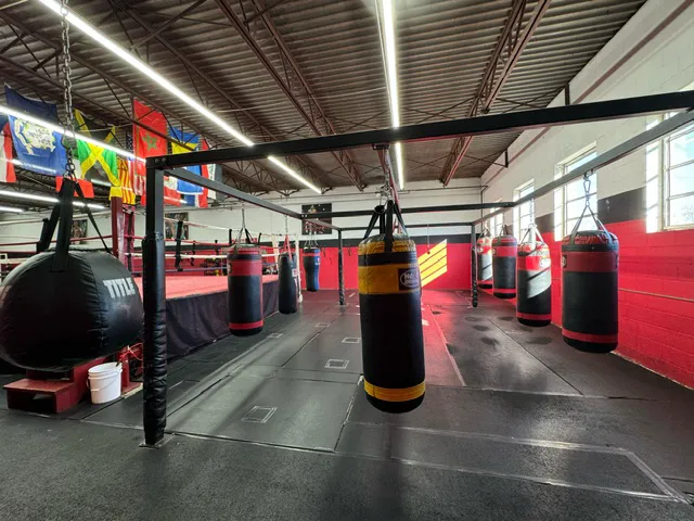 Four Ropes Boxing Picture 7