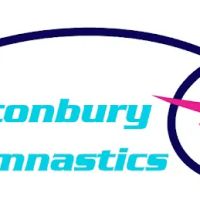 Glastonbury Gymnastics Club ico