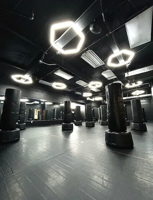 Glastonbury Kickboxing Picture 4