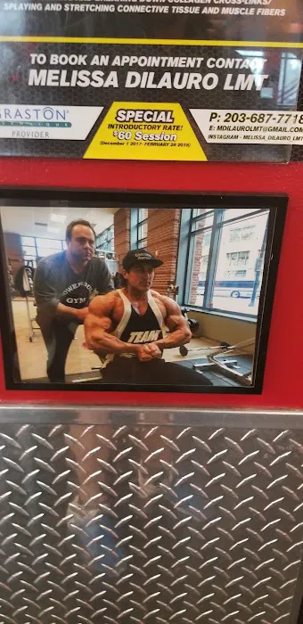 Powerhouse Gym Picture 3