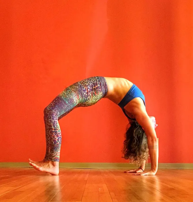 Fresh Yoga Picture 4