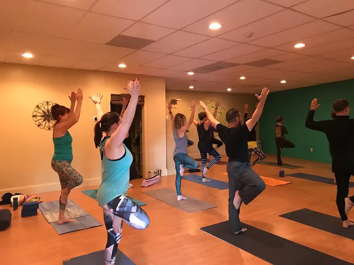 just be Yoga & Wellness Picture 2