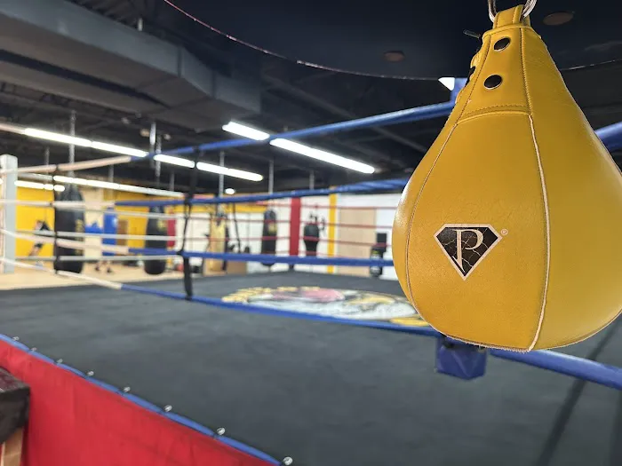 Cus Boxing Gym Picture 1