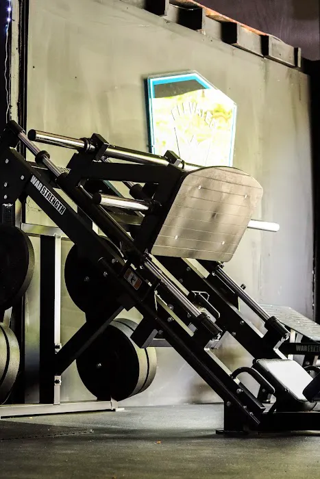 Elevated Wellness - Private Gym Picture 10