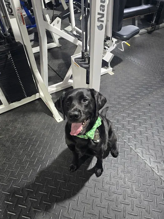 Jagstrong gym Picture 8