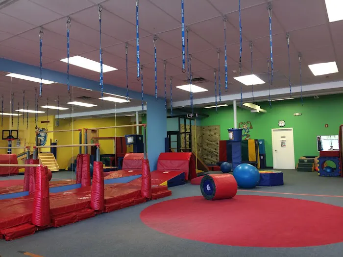 My Gym Children's Fitness Center of Larchmont Picture 3