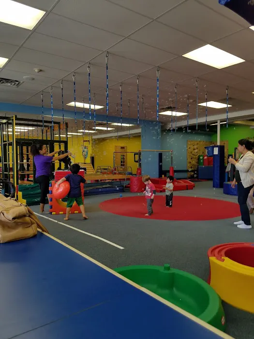 My Gym Children's Fitness Center of Larchmont Picture 4