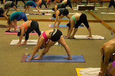 Bronx Yoga Lab Picture 2