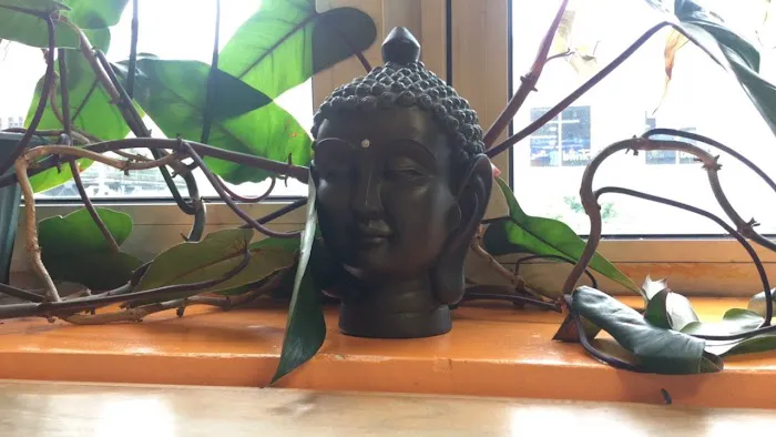 Bronx Yoga Lab Picture 8