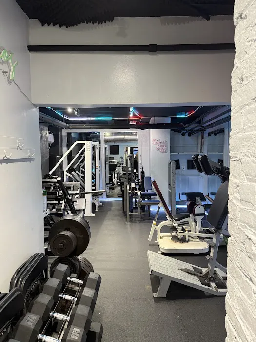 BRASHFIT. LLC Picture 2