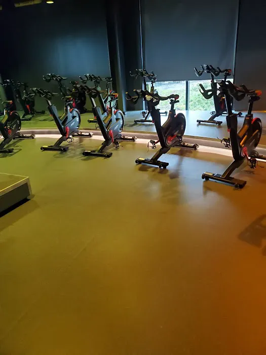 Northeast Bronx YMCA Picture 6