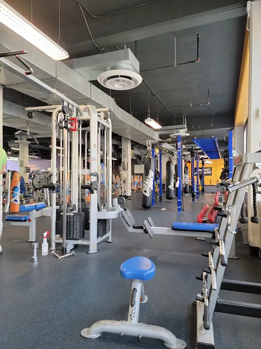 Crunch Fitness - Norwood Picture 3
