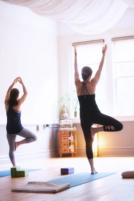 Radiate Yoga of Westchester Picture 10