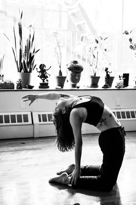 SONICYOGA Picture 1